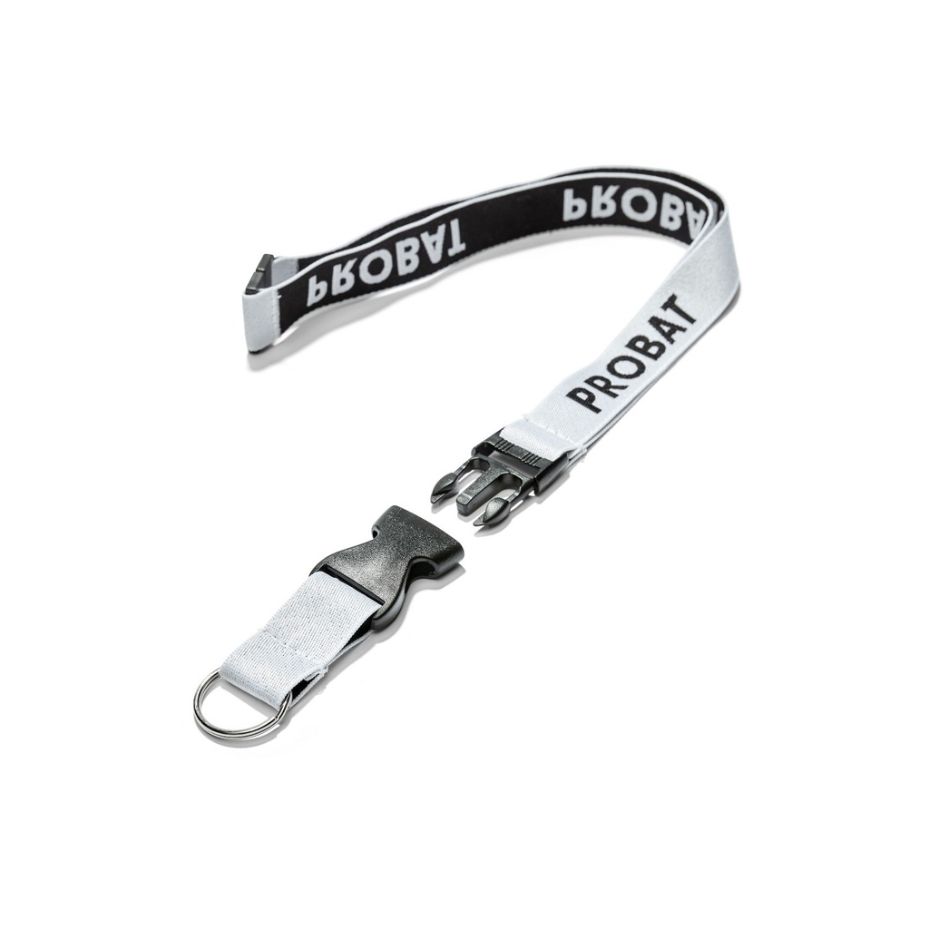 Lanyard