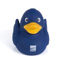 Blue wings rubber duck